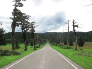 road
