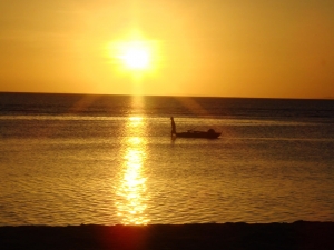 1385249_golden_sunset